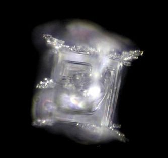 kristalluntersuchung ohne bormia